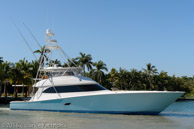Sweet Tuna-starboard_profile-2 / 2013 82 Viking 