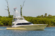Tenacious-starboard_profile-1 / 2010 Freedom Yachts 