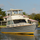 August Star-bow_profile-1