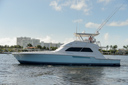Sheko Gweilo-port_profile-1