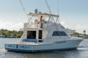 Sheko Gweilo-starboard_profile-2