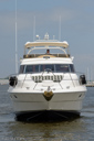 Black Gold-bow_profile-3