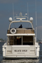 Black Gold-stern-3