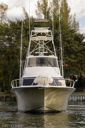 Forby-bow_profile-2
