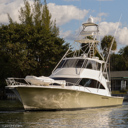 Forby-bow_profile-3