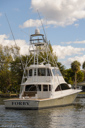 Forby-stern-3