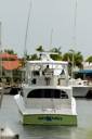 Nu Twist-stern-3